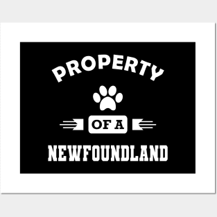 Newfoundland Dog - Property of newfoundland Posters and Art